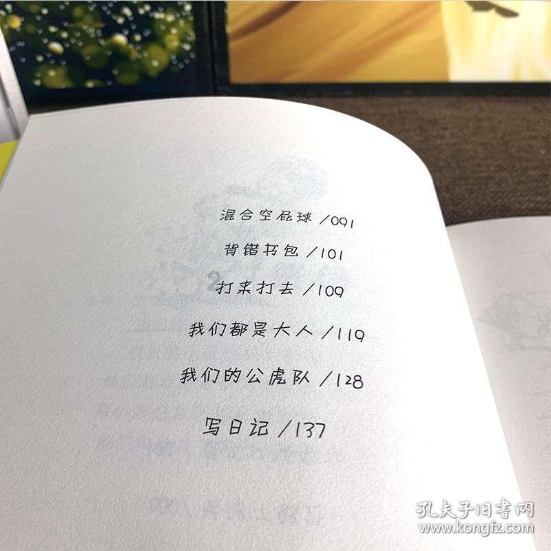 关于聊临沟清淤改造工程 占用道路的通告